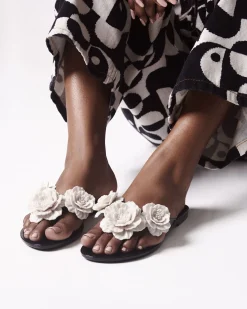 Online Melissa Harmonic Springtime Black/Beige