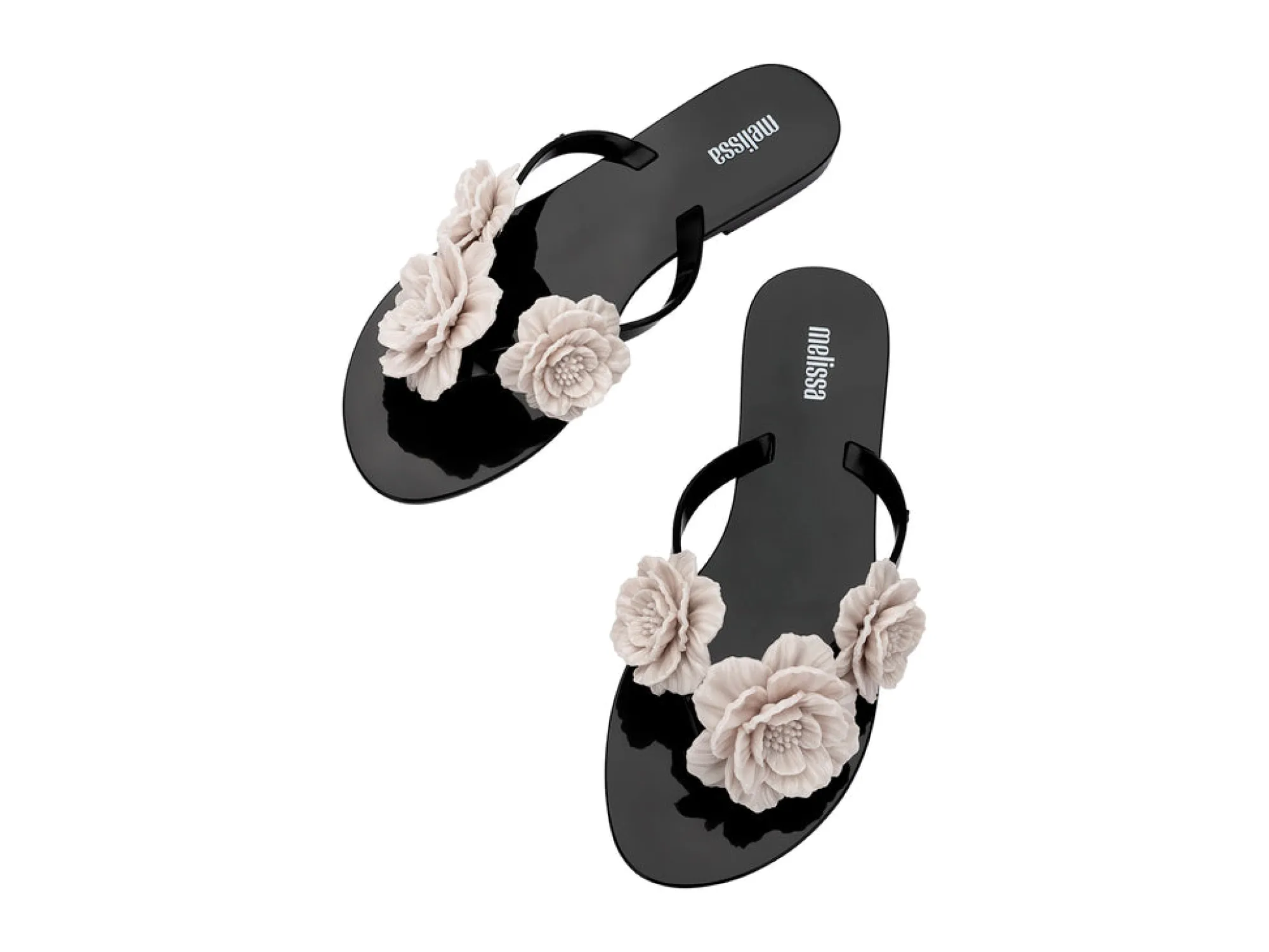 Online Melissa Harmonic Springtime Black/Beige